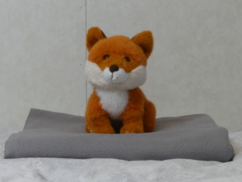 Unnamed 29 (Red Fox, Bukowski)